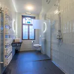 Elegant Castle For 19 Guests *