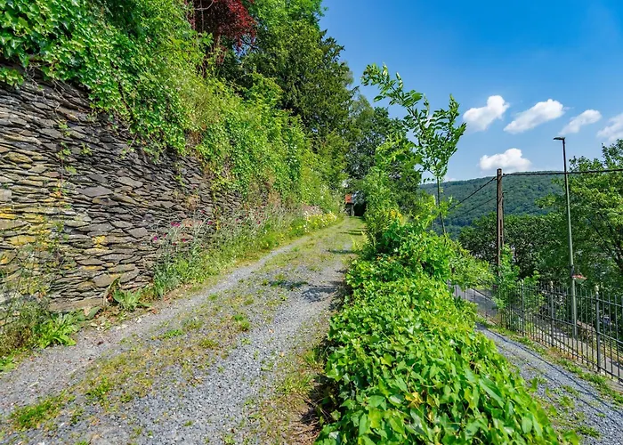 Elegant Castle For 19 Guests * La-Roche-en-Ardenne